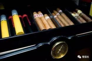 国产手工雪茄评测视频在线观看,品味传统工艺与现代风情的完美融合