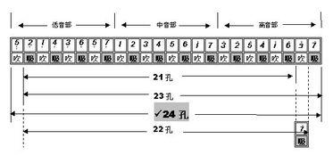 国产口琴哪个好入门视频,视频解析热门品牌与型号