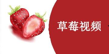 国产草莓解说大全视频