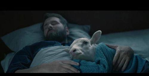 国产羊崽电影在线播放视频,在线播放带你领略田园牧歌风情