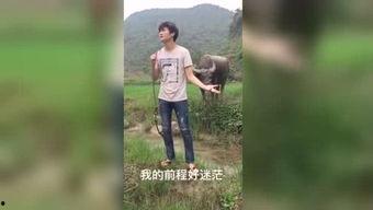 国产伦视频福利,揭秘国内影视盛宴背后的精彩故事