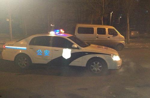 警车出警视频国产,国产生态下的警车出警瞬间