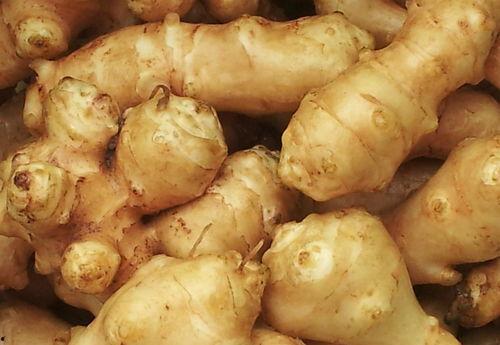 中国国产牛板筋大全超长视频,揭秘美味背后的制作工艺与风味特色