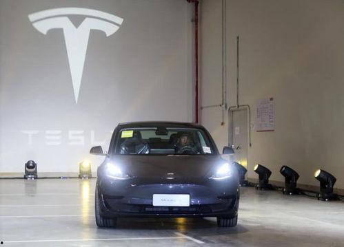 特斯拉国产使用视频,性能与本土化创新一窥究竟