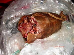 国产牛筋肠测评视频大全,全方位解析美食佳品