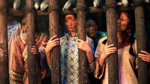 国产恐怖手法视频大全集,惊悚瞬间，揭秘惊悚元素