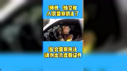 国产重口视频区