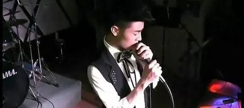 有什么国产同志视频网站,多元视角下的情感共鸣之旅