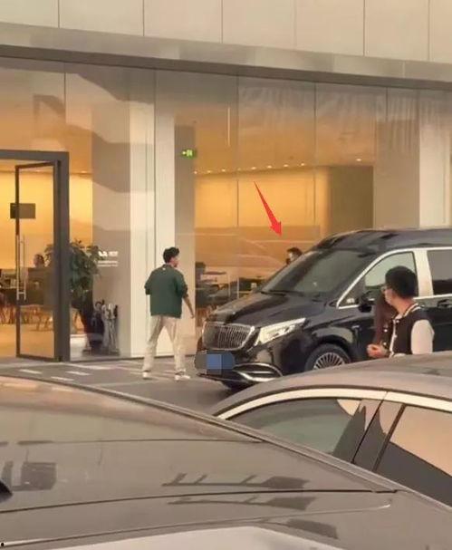 最新富二代国产视频,国产视频中的奢华生活与成长蜕变