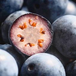 国产蓝莓怎么清洗视频,轻松洗净，尽享美味