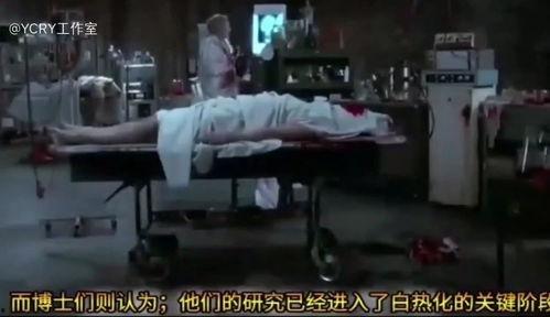 国产丧尸恐怖电影解说视频,惊悚来袭，生死边缘的求生之旅